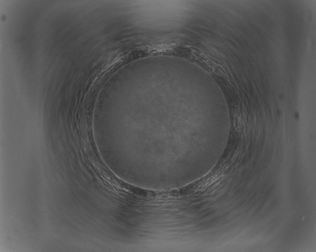 X0000074341393200608251339