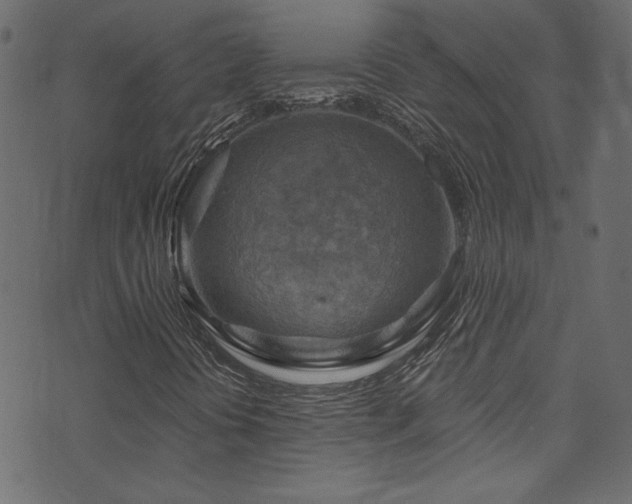 X0000074341394200608251339