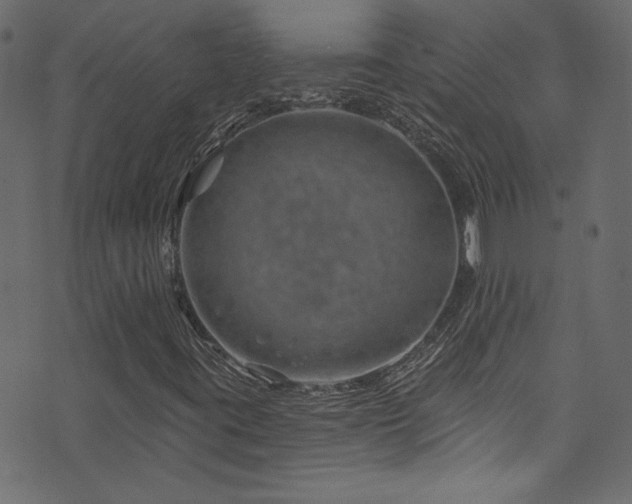 X0000074341395200608251339