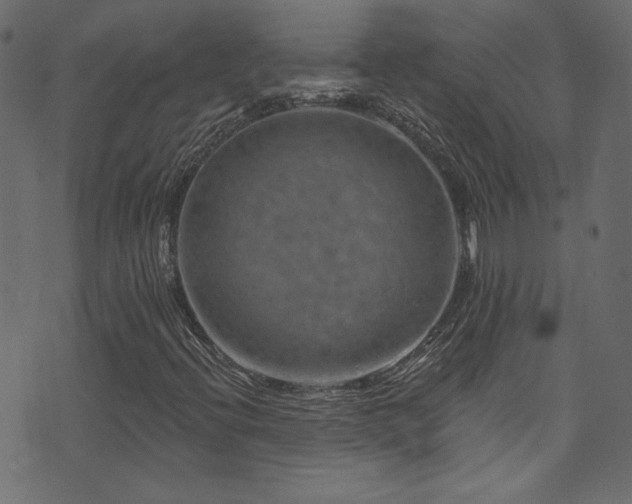 X0000074341396200608251339