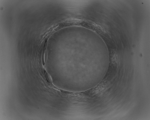 X0000074341397200608251339