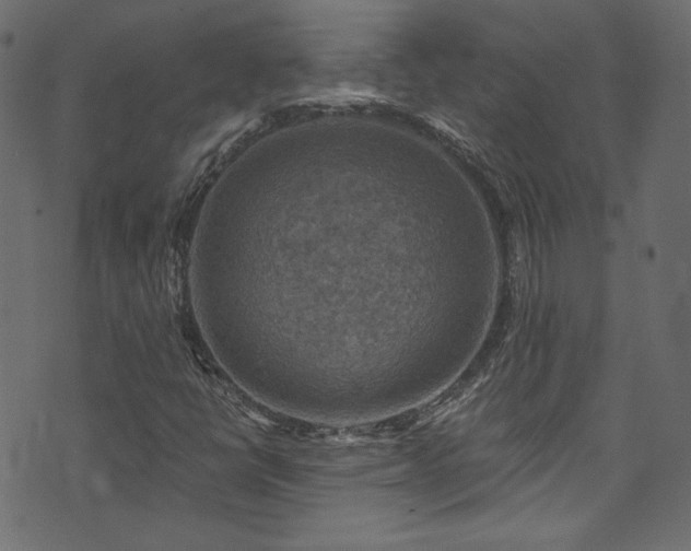 X0000074341398200608251339