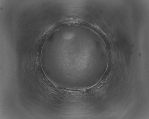 X0000074341399200608251339