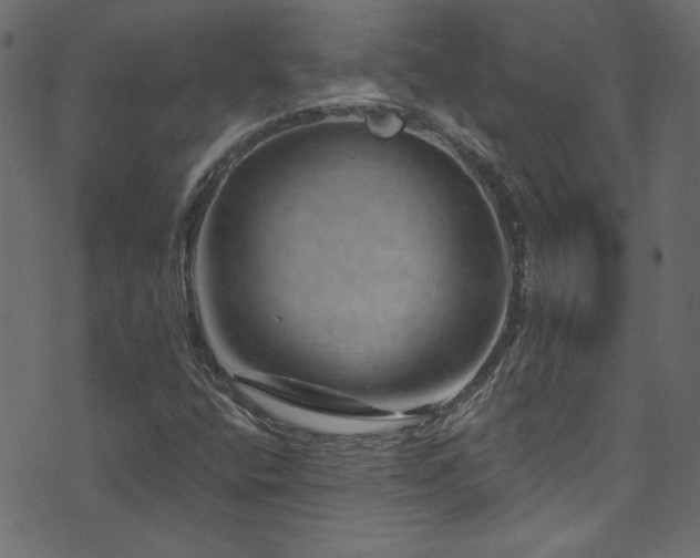 X0000074341400200608251339