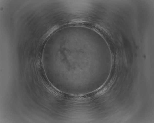 X0000074341401200608251339