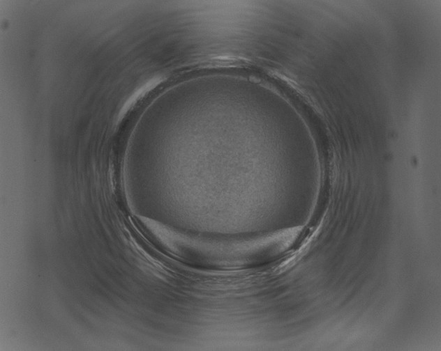 X0000074341402200608251339