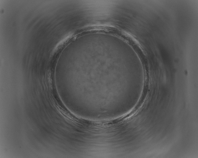 X0000074341403200608251339