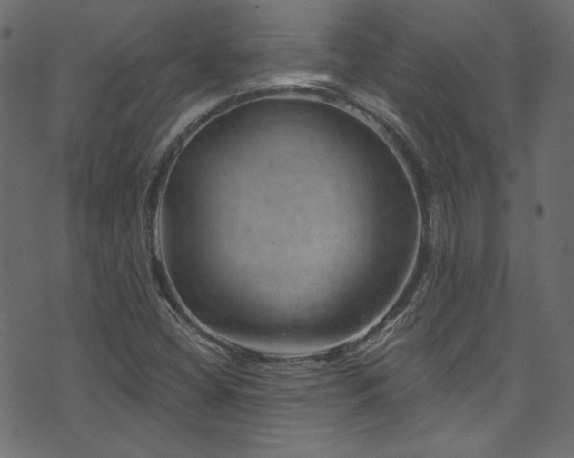 X0000074341404200608251339