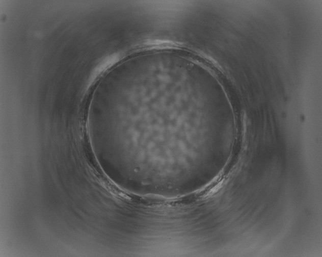 X0000074341405200608251339