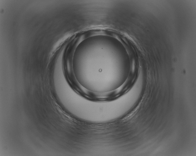 X0000074341406200608251339