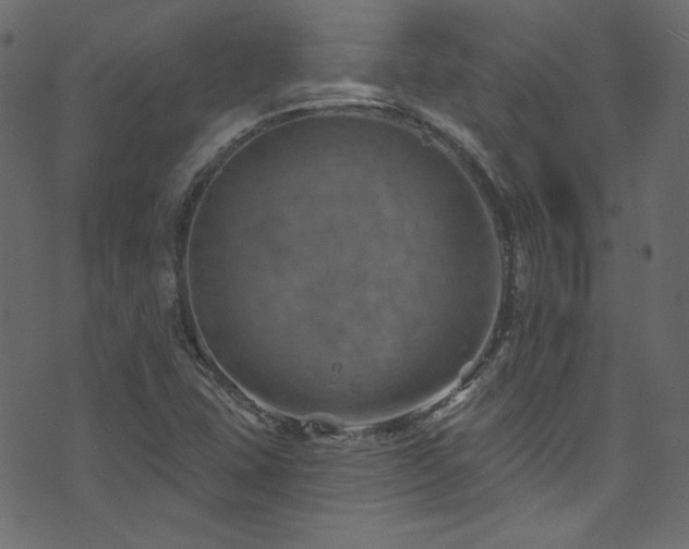 X0000074341407200608251339