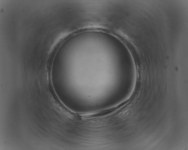 X0000074341408200608251339