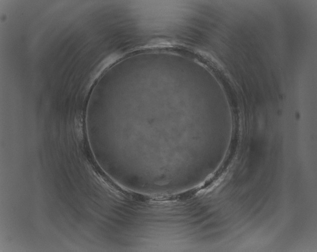 X0000074341409200608251339