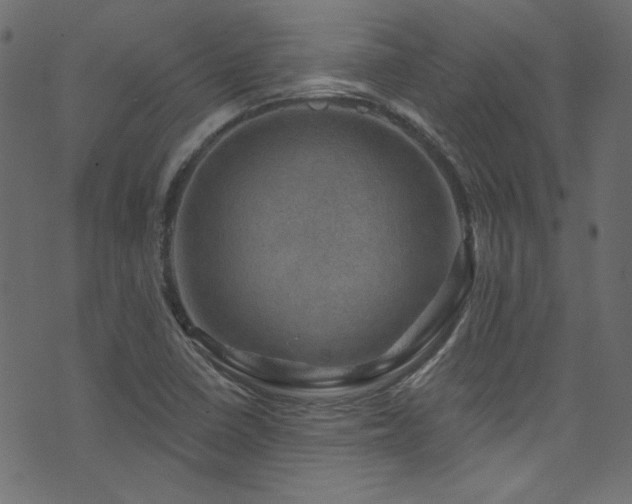 X0000074341410200608251339