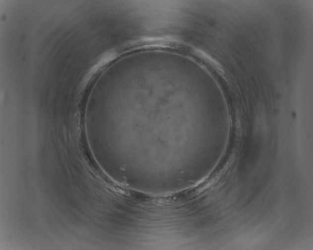 X0000074341411200608251339