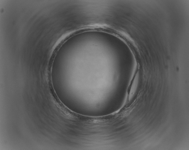 X0000074341412200608251339