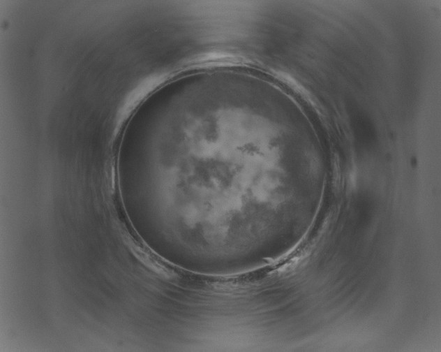 X0000074341413200608251339