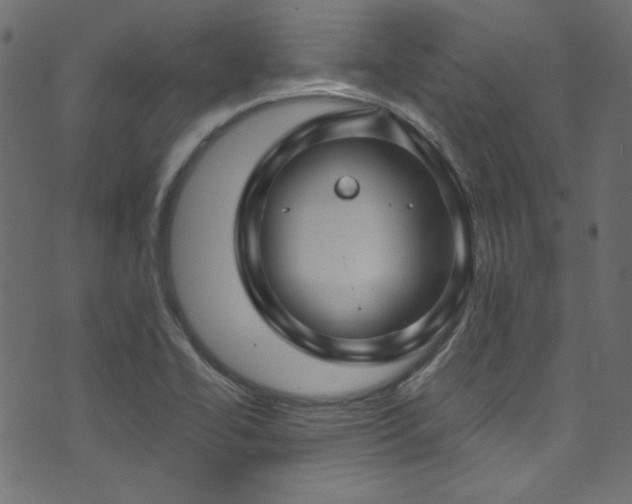 X0000074341414200608251339