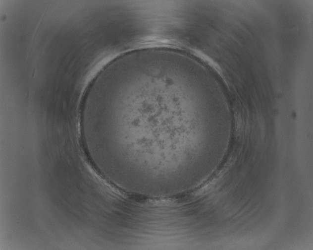 X0000074341415200608251339