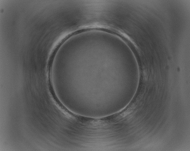 X0000074341416200608251339