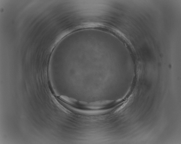 X0000074341417200608251339