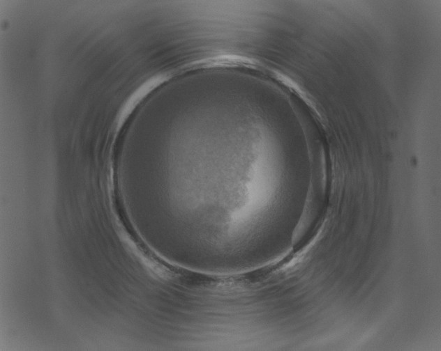 X0000074341418200608251339