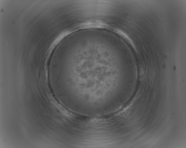 X0000074341419200608251339