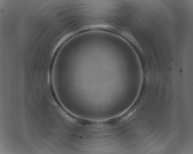 X0000074341420200608251339