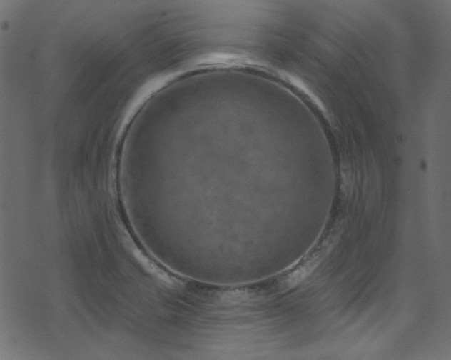 X0000074341421200608251339