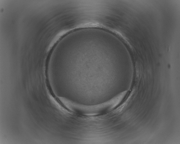 X0000074341422200608251339