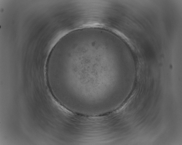 X0000074341423200608251339