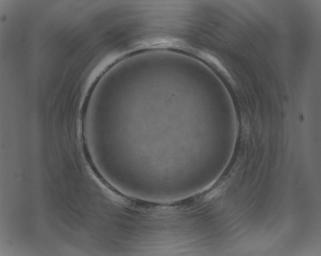 X0000074341424200608251339