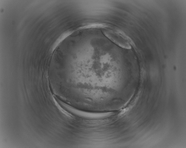 X0000074341425200608251340