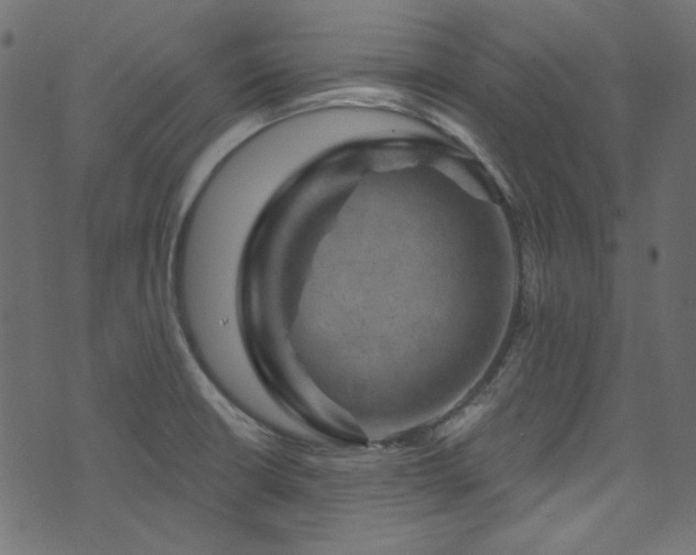 X0000074341426200608251340