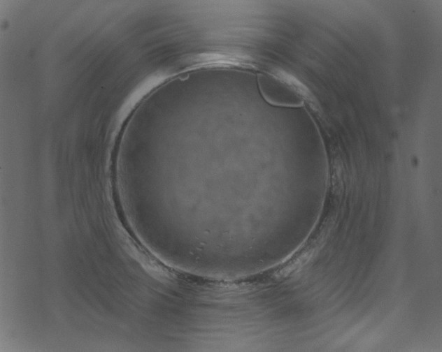 X0000074341427200608251340