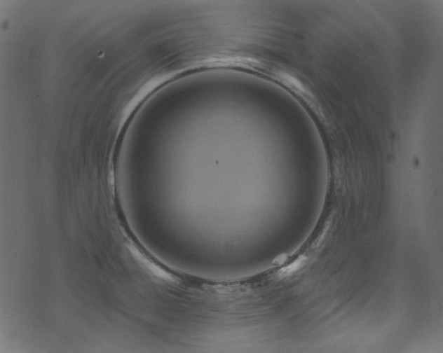 X0000074341428200608251340