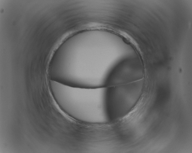 X0000074341429200608251340