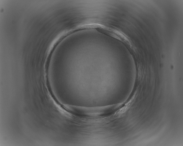 X0000074341430200608251340