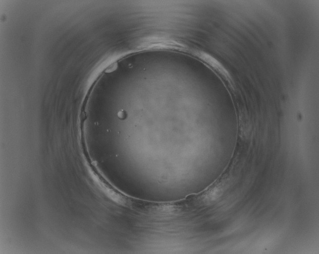 X0000074341431200608251340