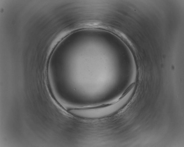 X0000074341432200608251340