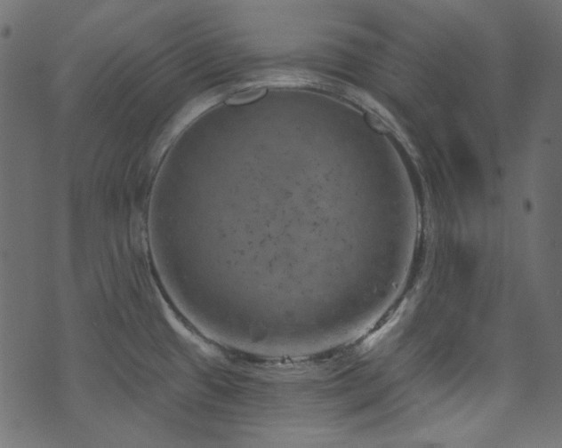 X0000074341433200608251340