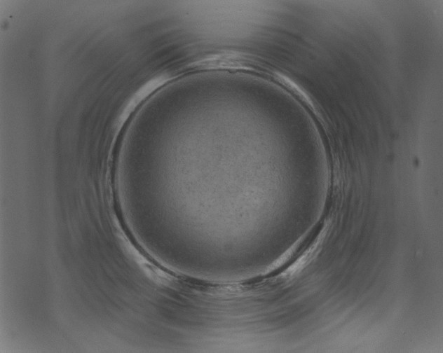 X0000074341434200608251340