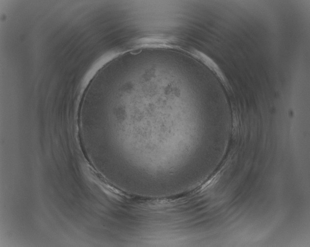 X0000074341435200608251340