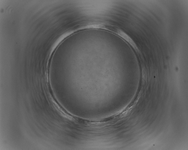 X0000074341436200608251340