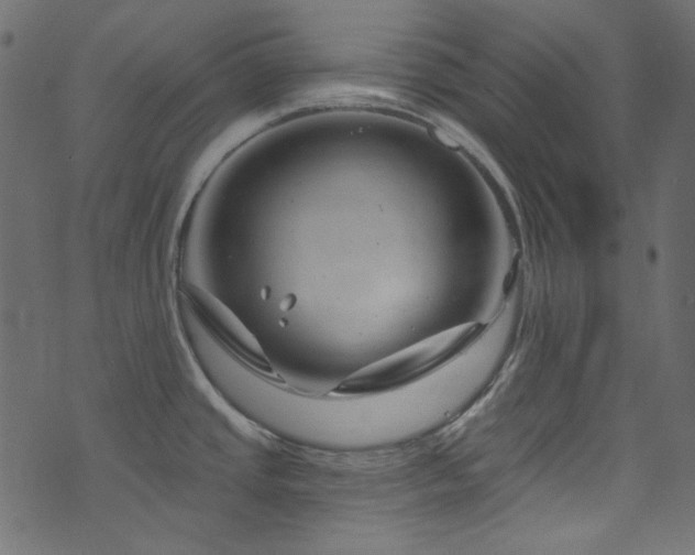 X0000074341437200608251340