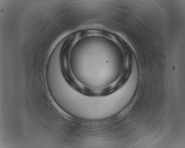 X0000074341438200608251340