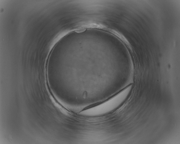 X0000074341439200608251340