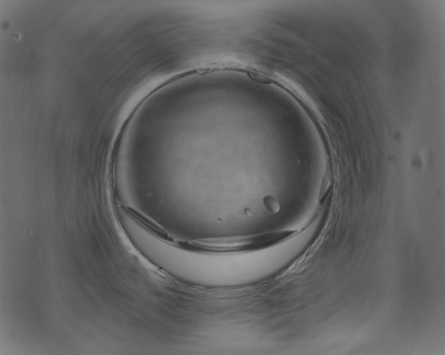 X0000074341440200608251340