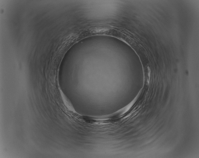 X0000074341441200608251339