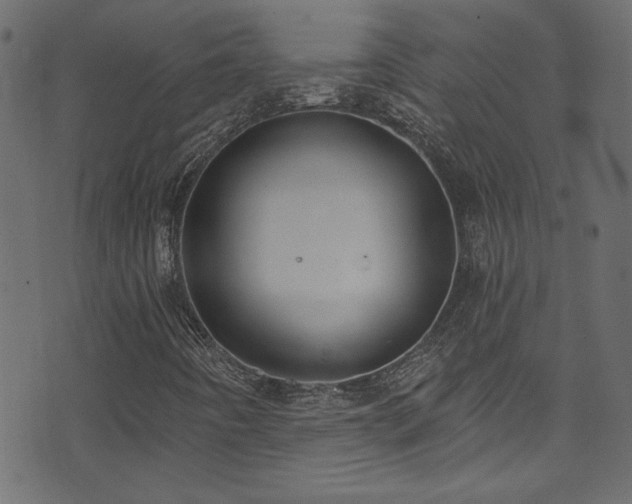 X0000074341442200608251339